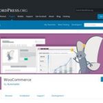WooCommerce